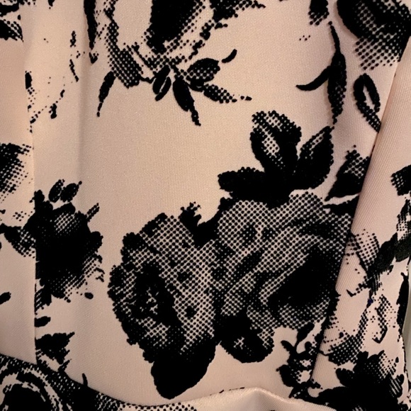 Pink Pastel Velvet Rose Minidress - Picture 2 of 2